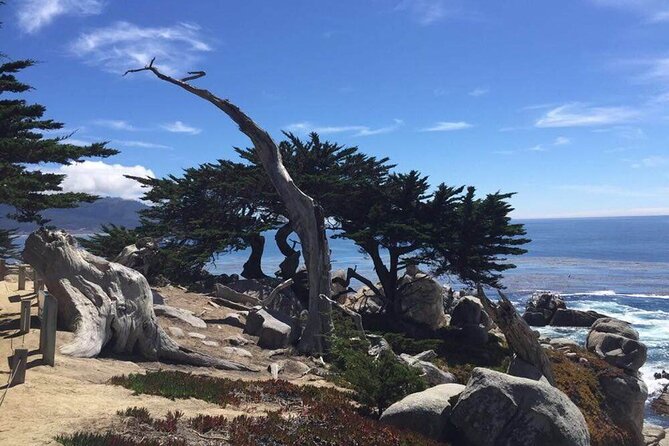 Monterey 1-Day Tour - Tour Highlights