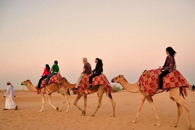 Morning Desert Safari Abu Dhabi With Camel Ride