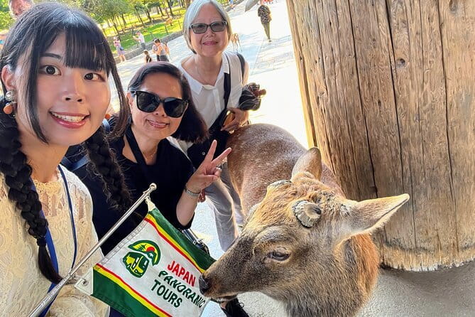 Morning Wonder World Heritage Nara Guided Tour