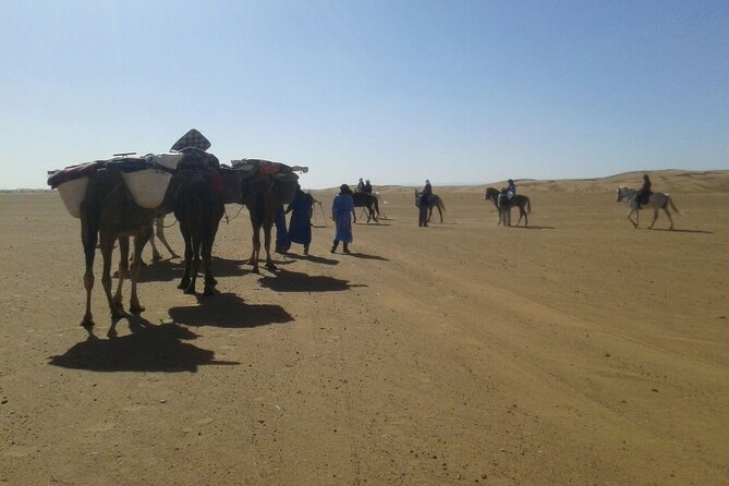 Morocco Camel Treks Experiences 2 Nghits in Erg Chabbi Desert