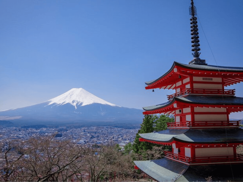 Mount Fuji and Hakone Full Day Private Tour With English Gui
