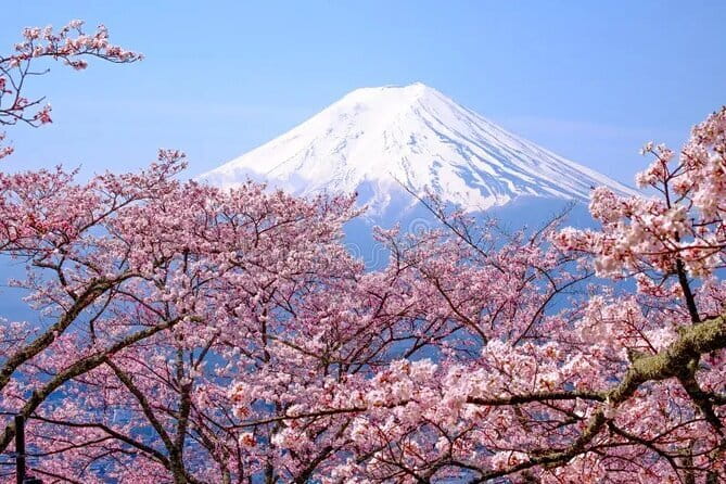 Mount Fuji Full Day Private Tour