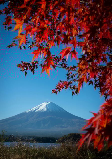 Mount Fuji Private Full Day Tour From Tokyo by Car or Van - Tour Overview