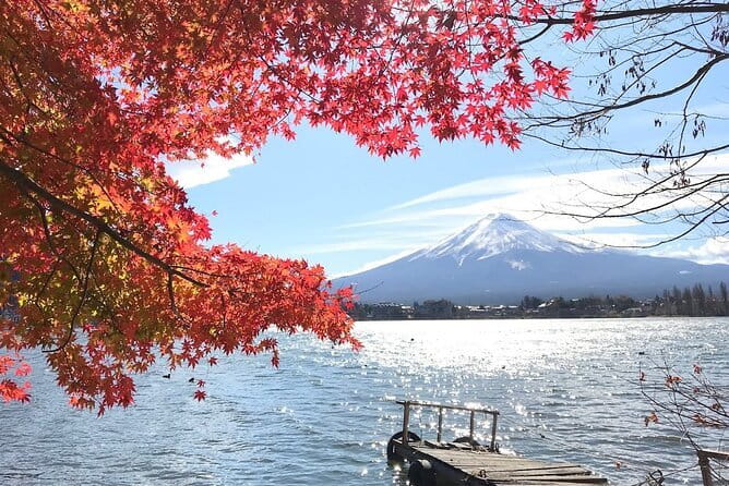 Mount Fuji Private Tour