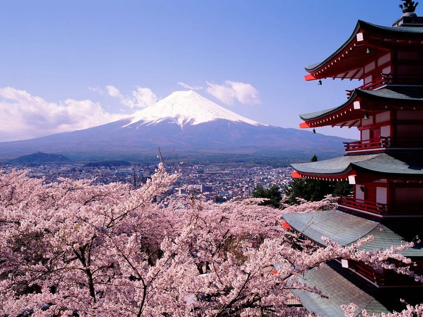 Mount Fuji Pvt. Full Day Trip With English-Speaking Driver