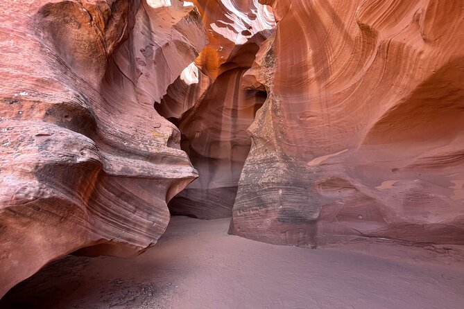 Mountain Sheep Canyon & Horseshoe Bend Tours – Arizona Tours