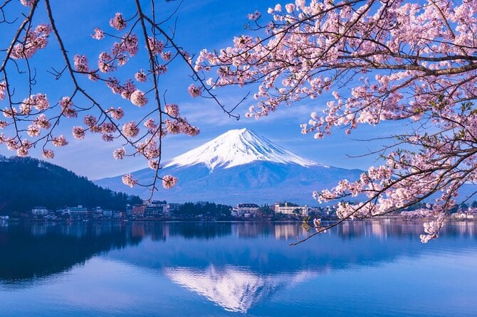 Mt. Fuji and Hakone Private Tour With English Speaking Driver