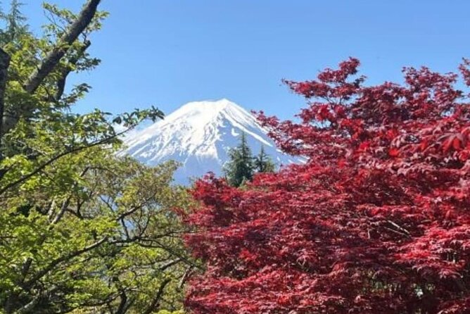 Mt. Fuji and Lake Kawaguchi Day Trip With Guide