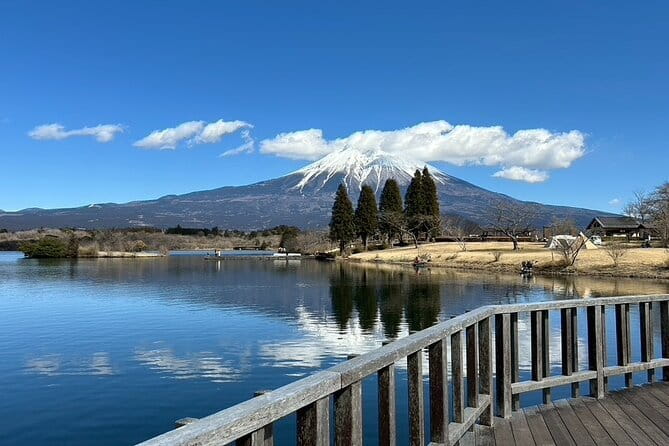 Mt.Fuji Area Tour From Shimizu Port /Small Bus