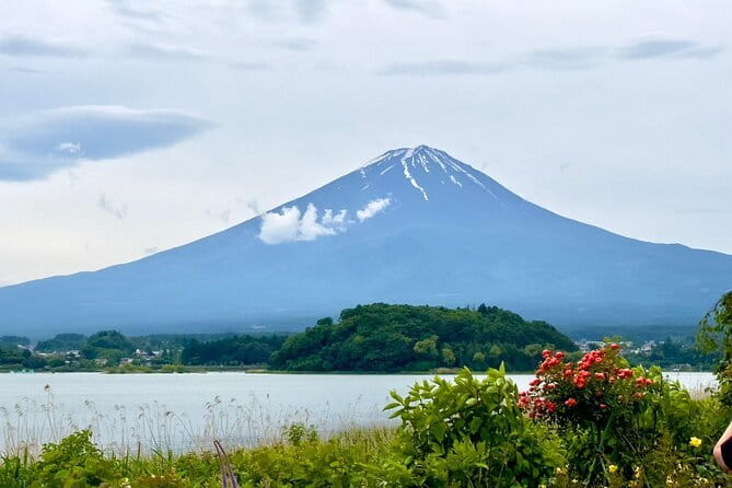 Mt. Fuji Cherry Blossom One Day Private Tour With Pickup
