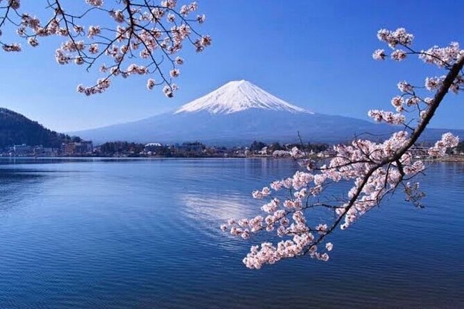 Mt Fuji/Hakone Private Tour From Tokyo/Yokohama