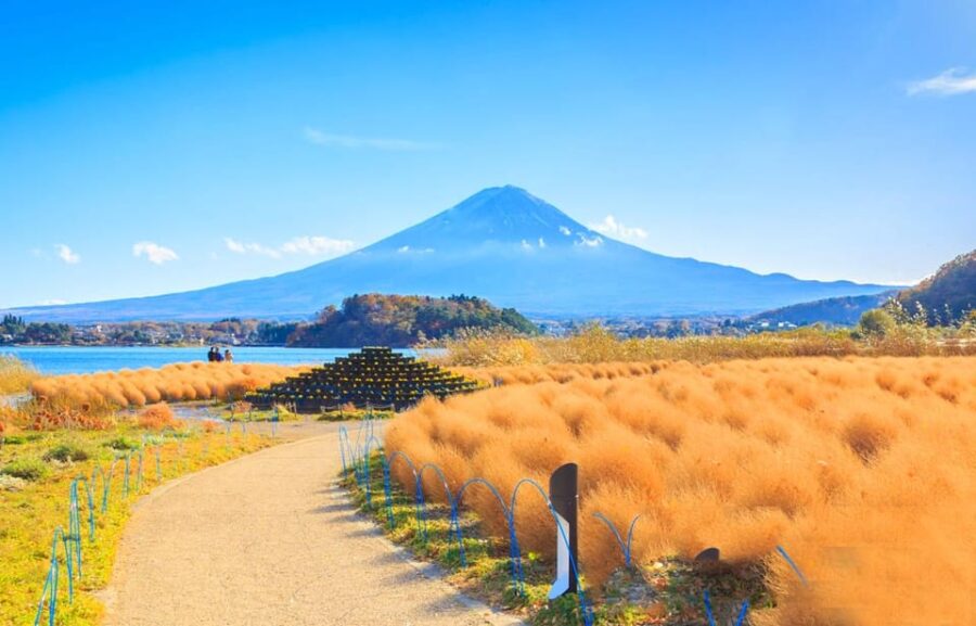 Mt. Fuji Highlights Day Tour With Hotel Pick-Up VIP Group