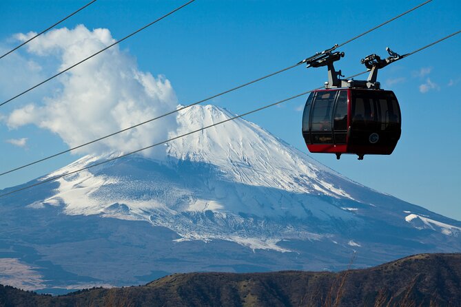 Mt. Fuji Luxury Getaway and Hakone Adventure by Private Car