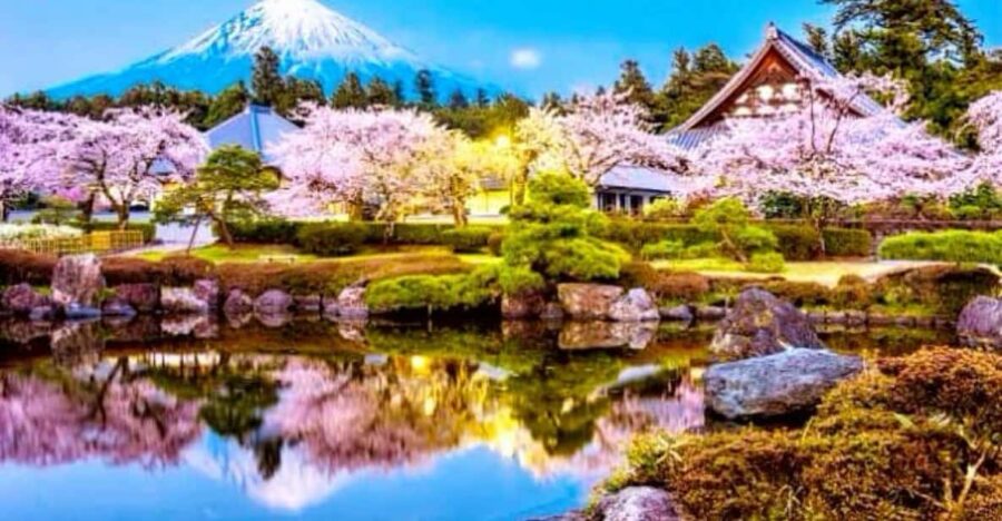 Mt. Fuji One Day Private Tour With English Speaking Driver