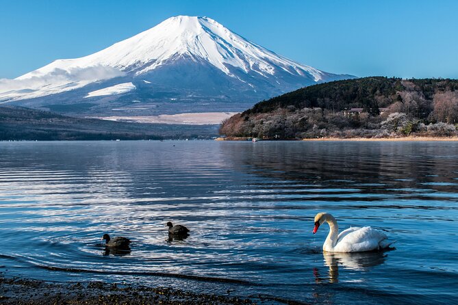 Mt Fuji Private Tour With Daily Chauffeur