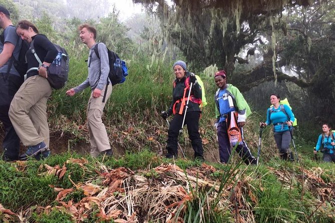 Mt Kilimanjaro Climbing; 6 Days Machame Route