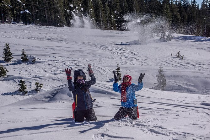 Mt. Shasta Snowshoeing Tours Review