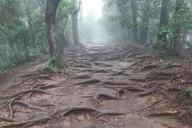 Mt. Takao With Hot Spring Private Tour