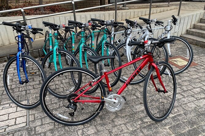 MTB, Hybrid or Gravel Road Bike Rental in Okutama, Tokyo