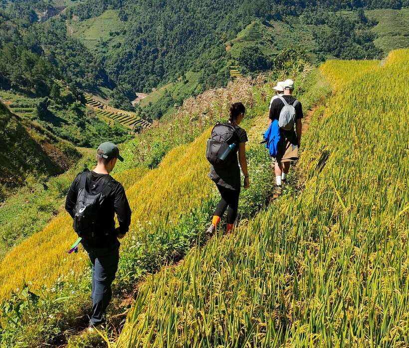 Mu Cang Chai: Highlights 3-hour Guided Hiking Trip