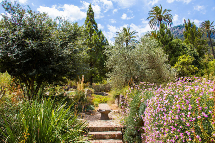 MUCBO | Botanical Garden of Sóller - Balearic Museum of Natural Sciences - Overview of MUCBO