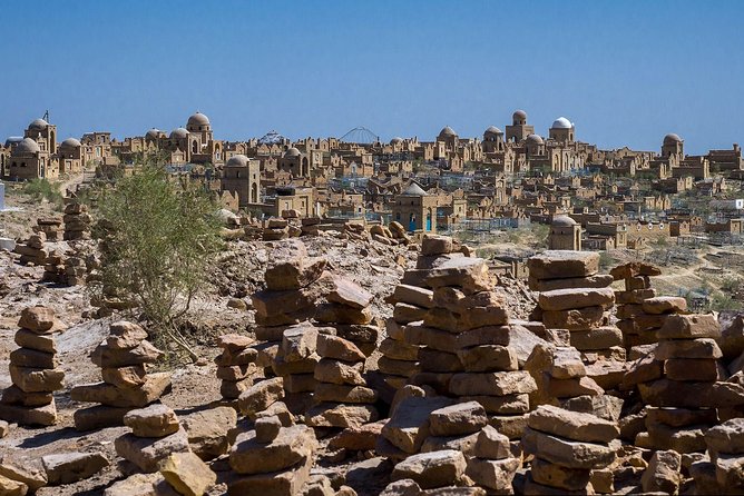 Muynak - Ship Cemetery Tour From Nukus - Tour Overview