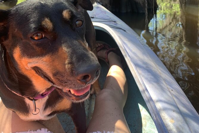 Mystical Private Kayak and Canoe Tours on Caddo Lake - Tour Overview