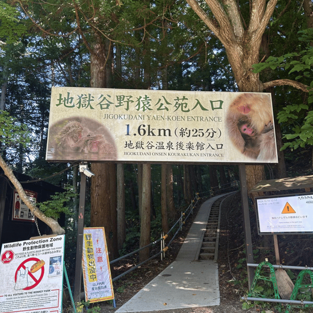 Nagano/Tokyo: Snow Monkey Private Day Tour At Lowest Rate