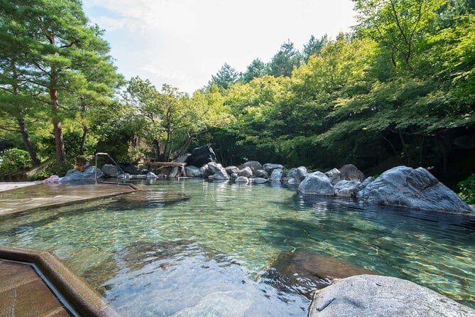 Nagashima Mitsui Park and Nagashima Hot Spring One Day Tour - Tour Overview