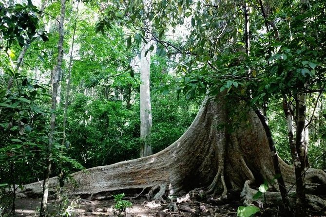 Nam Cat Tien National Park Review: An Adventure