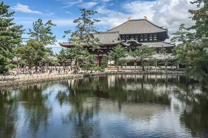 Nara Private Day Trip - Enjoy Your First-Time Visit to Nara! - Tour Overview