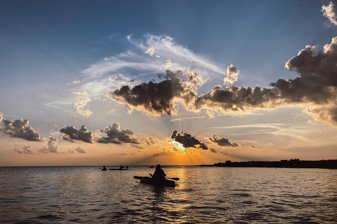 New Orleans Bayou Adventure: Kayak Rental - Kayak Rental Details