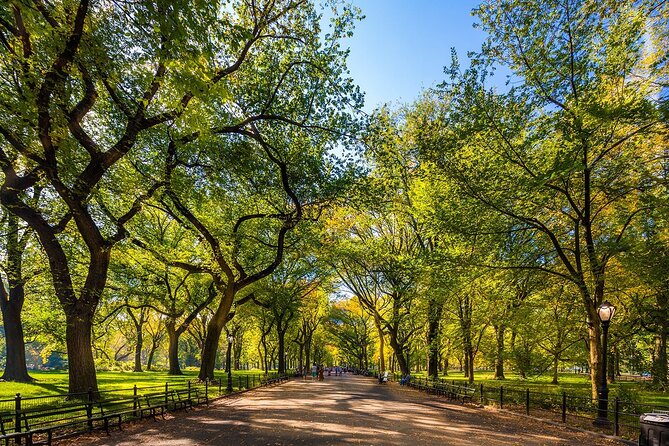 New York City With Metropolitan Museum Half Day Walking Tour - Tour Overview