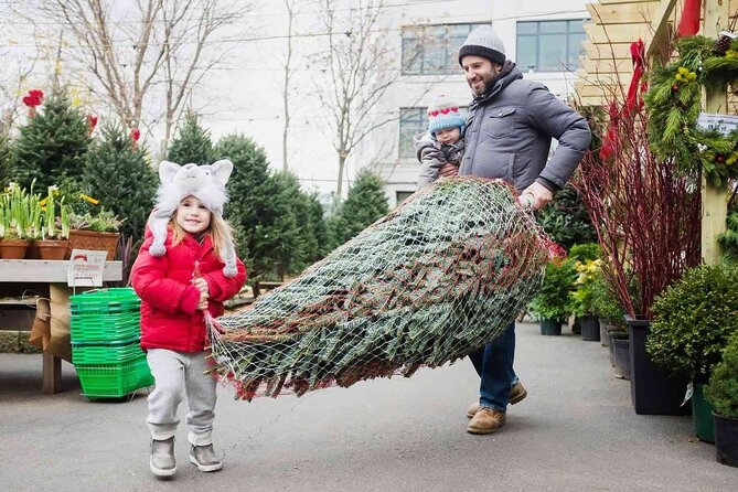 New York Citys Iconic Christmas Tour