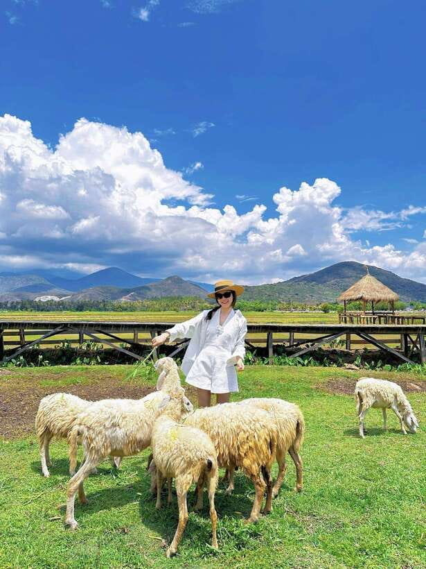 Nha Trang City Tour Hang Rai Coral Reef, Ninh Thuan Vineyard - Tour Overview and Pricing