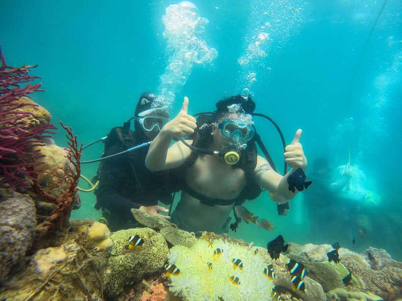 Nha Trang: Hon Mun Island Marine Park Snorkeling & Mud Bath - Activity Overview