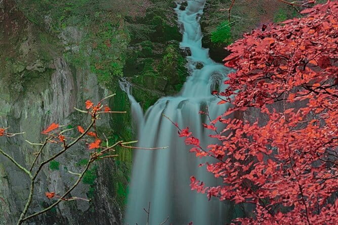 Nikko Full Day Customize Private Tour