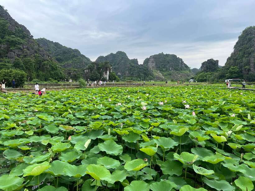 Ninh Binh: Hoa Lu, Tam Coc, Mua Cave Group Tour From Hanoi