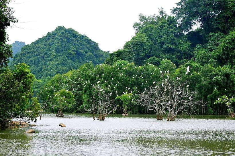 Ninh Binh Jeep Tour: Tam Coc HIGHTLIGHTS & HIDDEN GEMS