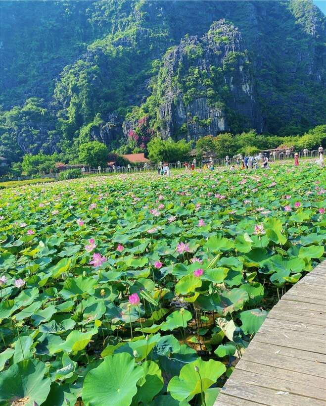 Ninh Binh:Motorbike Tour Countryside Visit and Cooking Class