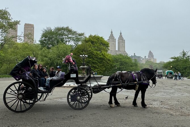 NYC Empire State Horses Carriage Ride in Central Park(55 Min) - Inclusions and Amenities