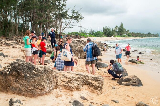 Oahu’s Cheapest Circle Island Tour Review