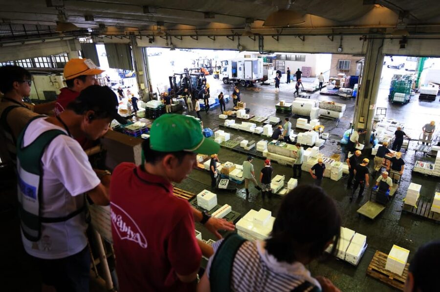 Odawara: Odawara Fish Market Experience