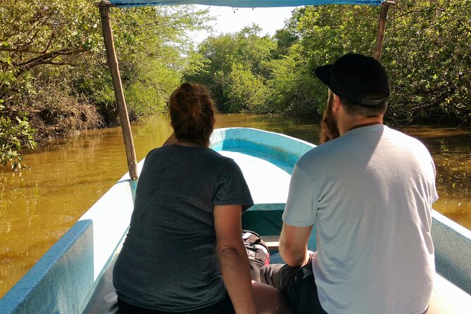 Off The Beaten Path Jungle Lagoon Turtle Release Lunch High Diver