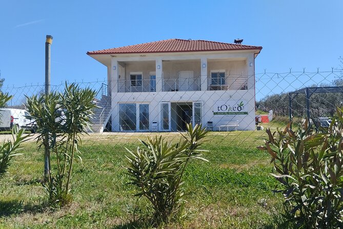 Olive Oil Tasting With Seminar in Metagitsi - Halkidiki - Event Overview