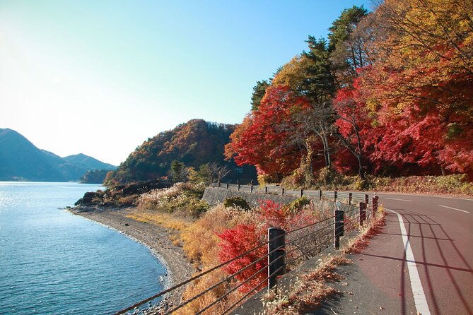 One-Day Tour Around Mount Fuji Departure From Tokyo
