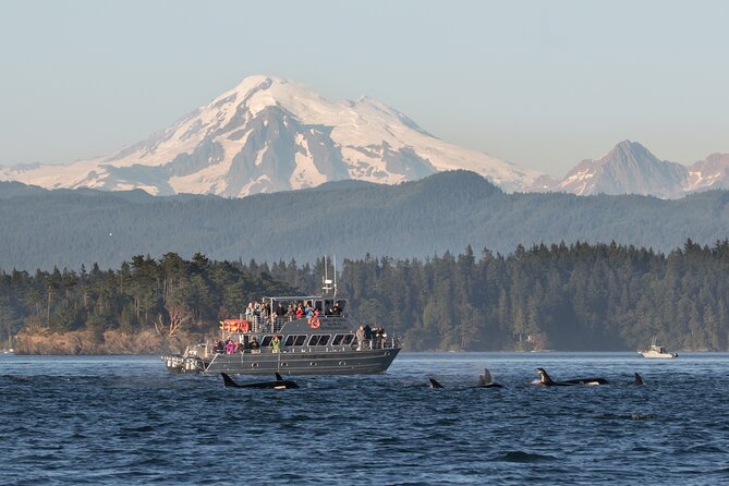 Orcas Island Whale Watching - Location and Accessibility