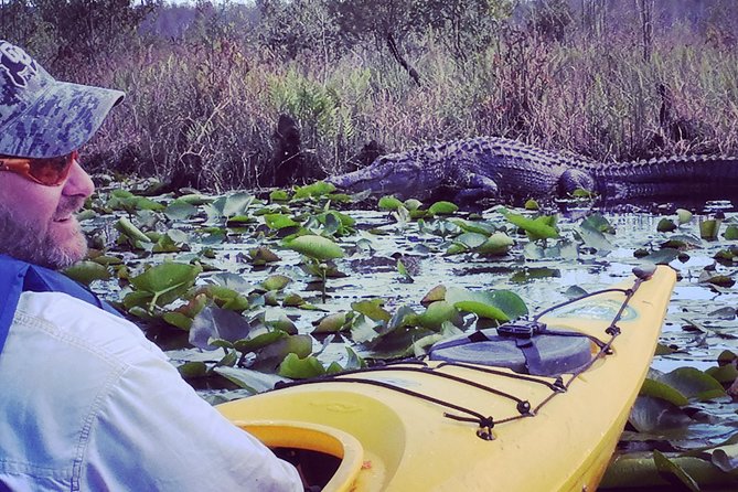 Orlando Alligator Experience