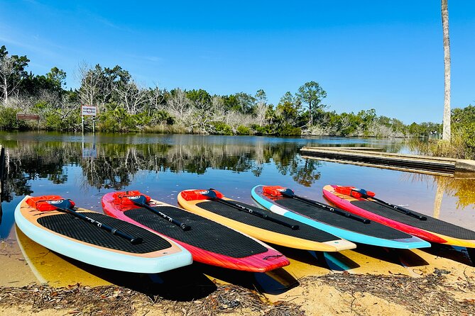 Ormond Beach Manatee and Nature Tour Kayaking or Paddle Boarding