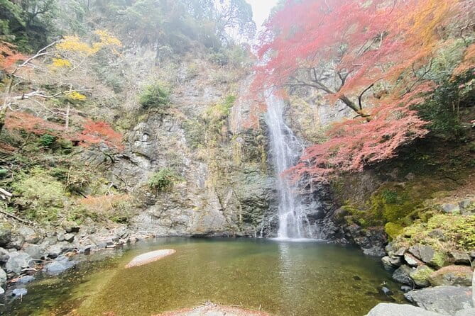 Osaka 8 Hours Tour Explore City and Minoh Falls - Inclusions